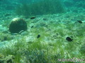 foto de buceo