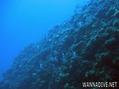foto de buceo