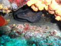 foto de buceo