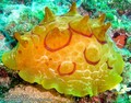 foto de buceo