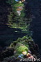 foto de buceo