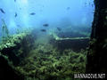 foto de buceo