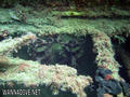 foto de buceo