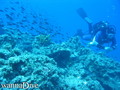 foto de buceo