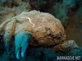 foto de buceo