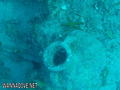 foto de buceo