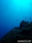 foto de buceo