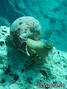 foto de buceo