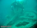 foto de buceo