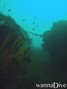 foto de buceo