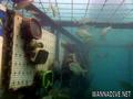foto de buceo