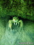 foto de buceo