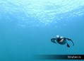 foto de buceo