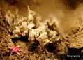 foto de buceo