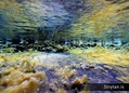 foto de buceo