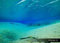 foto de buceo