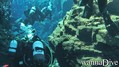 foto de buceo