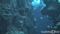 foto de buceo