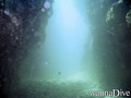 foto de buceo