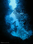 foto de buceo