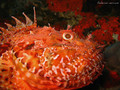 foto de buceo