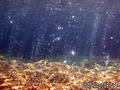 foto de buceo