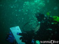 foto de buceo