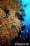 foto de buceo