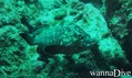 foto de buceo
