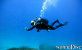 foto de buceo