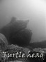 foto de buceo