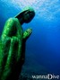 foto de buceo