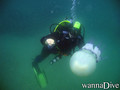 foto de buceo