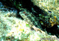 foto de buceo