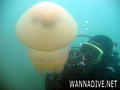 foto de buceo