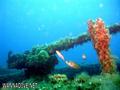 foto de buceo
