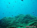 foto de buceo