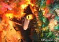 foto de buceo