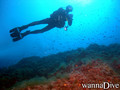 foto de buceo