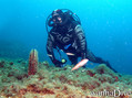 foto de buceo