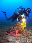 foto de buceo