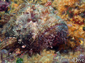 foto de buceo