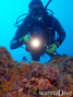 foto de buceo