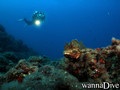 foto de buceo