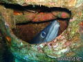 foto de buceo