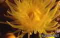 foto de buceo