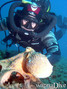 foto de buceo