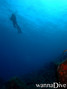 foto de buceo