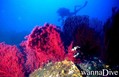 foto de buceo