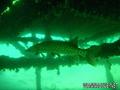 foto de buceo